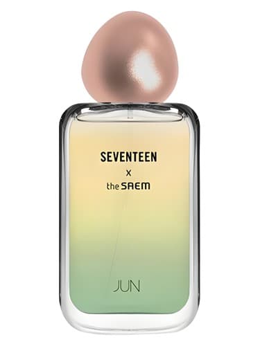 Seventeen X Jun