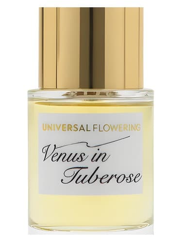 Venus in Tuberose