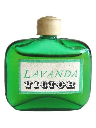 Lavanda