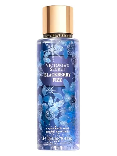 Blackberry Fizz