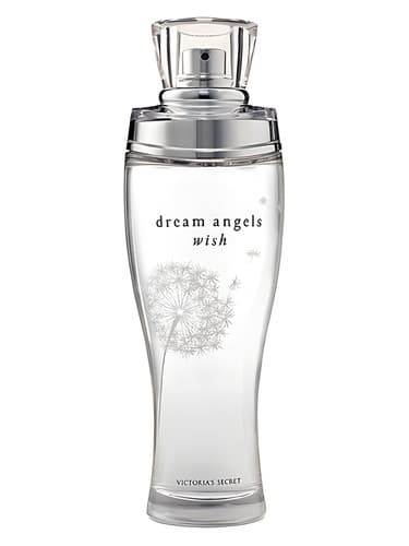 Dream Angels Wish