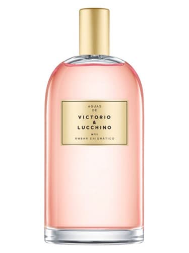 No 11 Ambar Enigmatic Enigmatic Amber