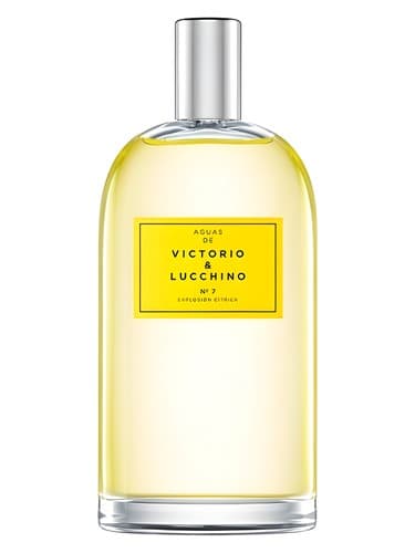 No 7 Explosion Citrica