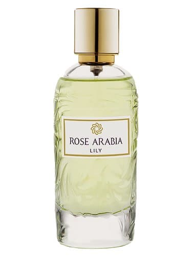 Rose Arabia Lily