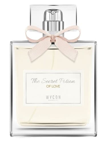 The Secret Potion of Love