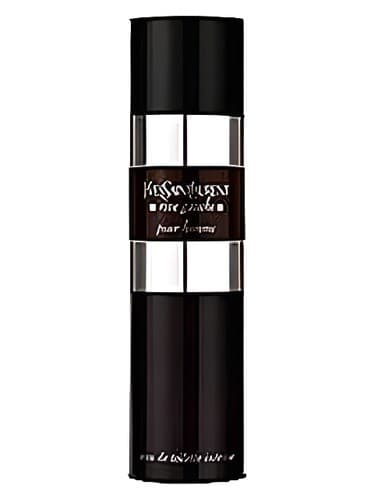 Rive Gauche Pour Homme Intense