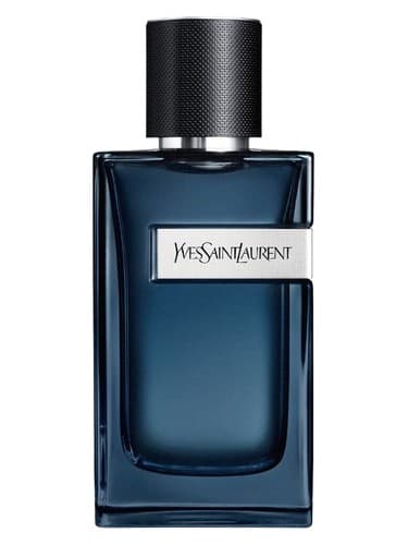 Y Eau de Parfum Intense