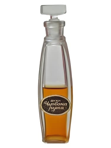 Червона Рута