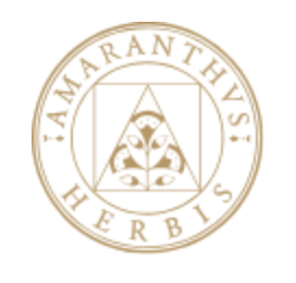 название бренда