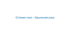 название бренда