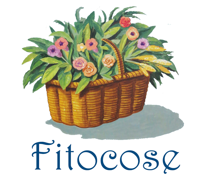 Fitocose