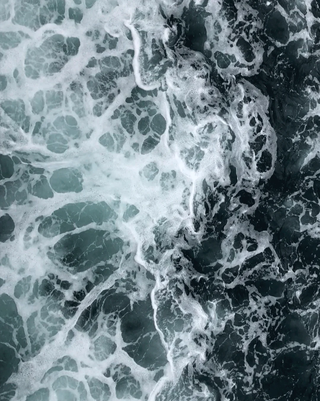 Orto Parisi Megamare 4