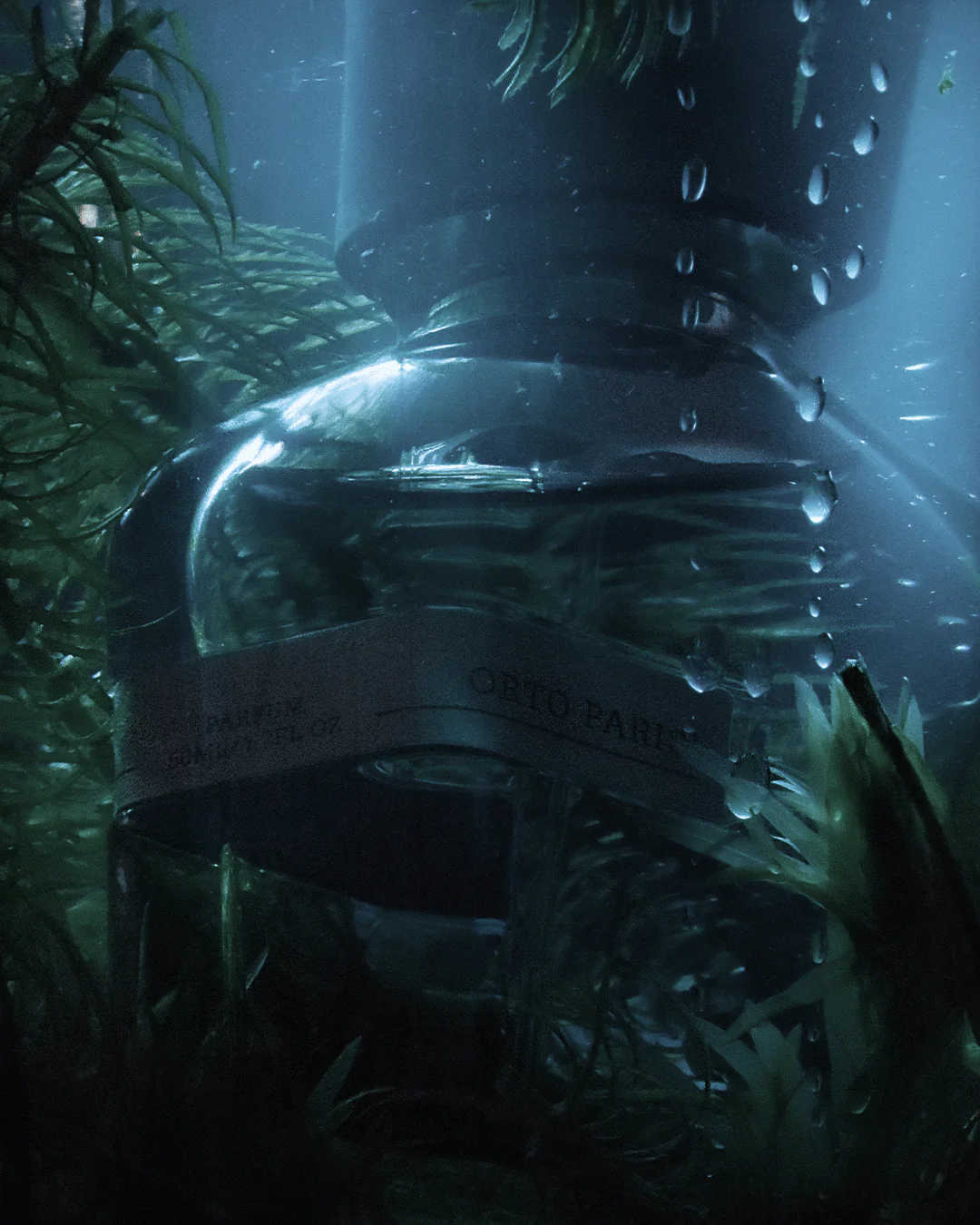 Orto Parisi Megamare 5