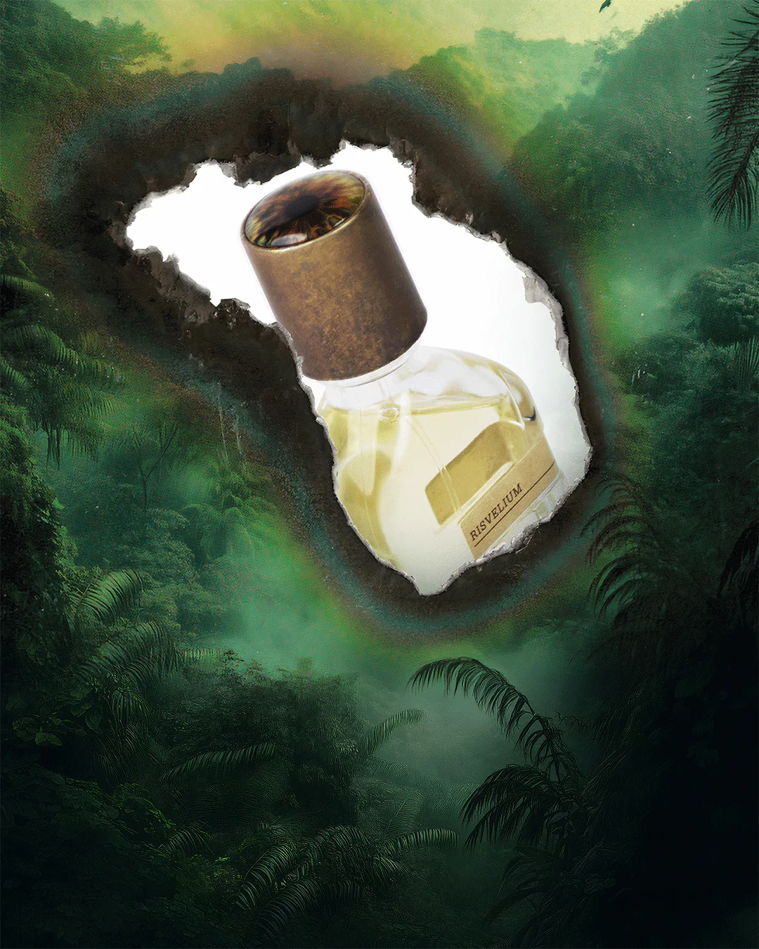 Orto Parisi Risvelium 4