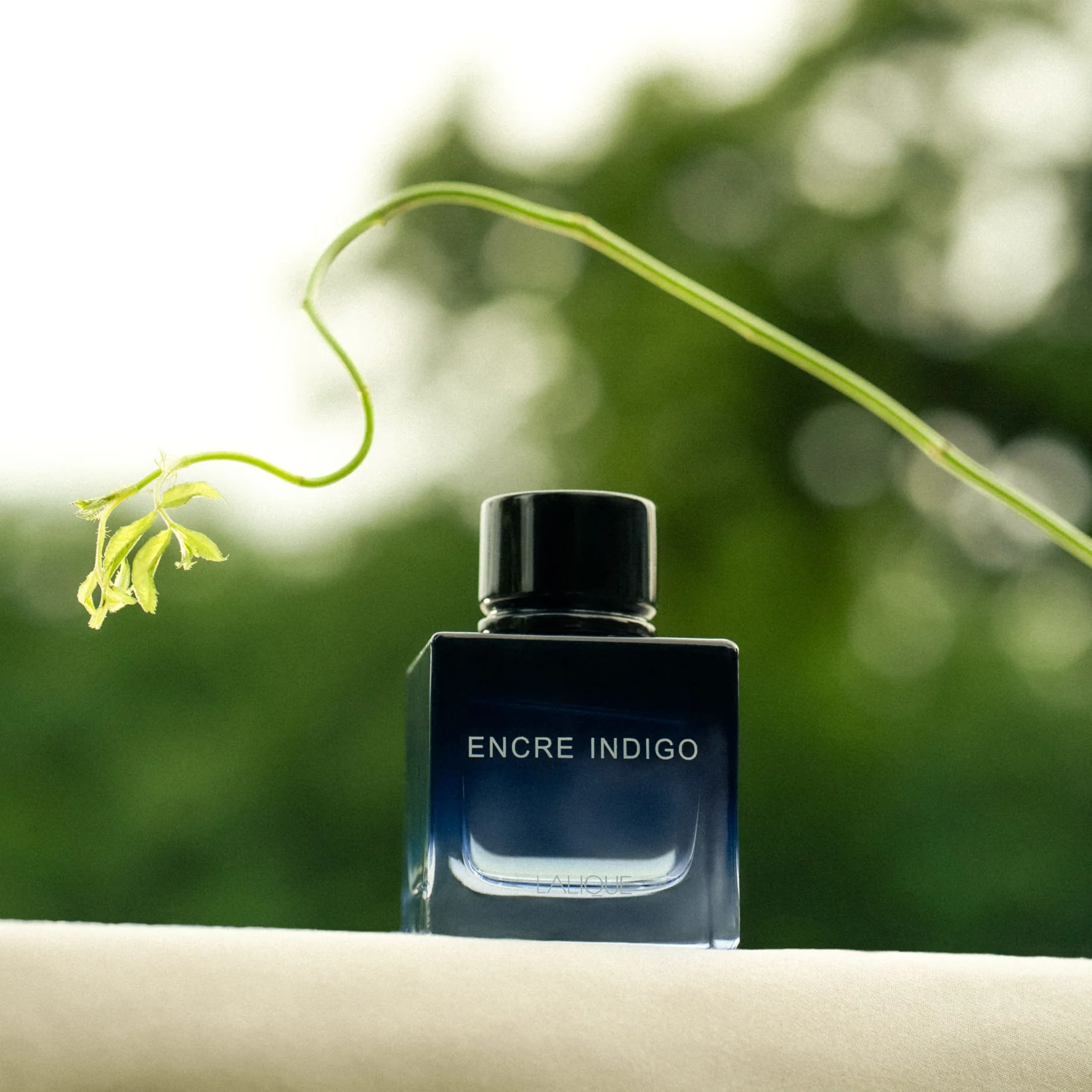 Lalique Encre Indigo 5