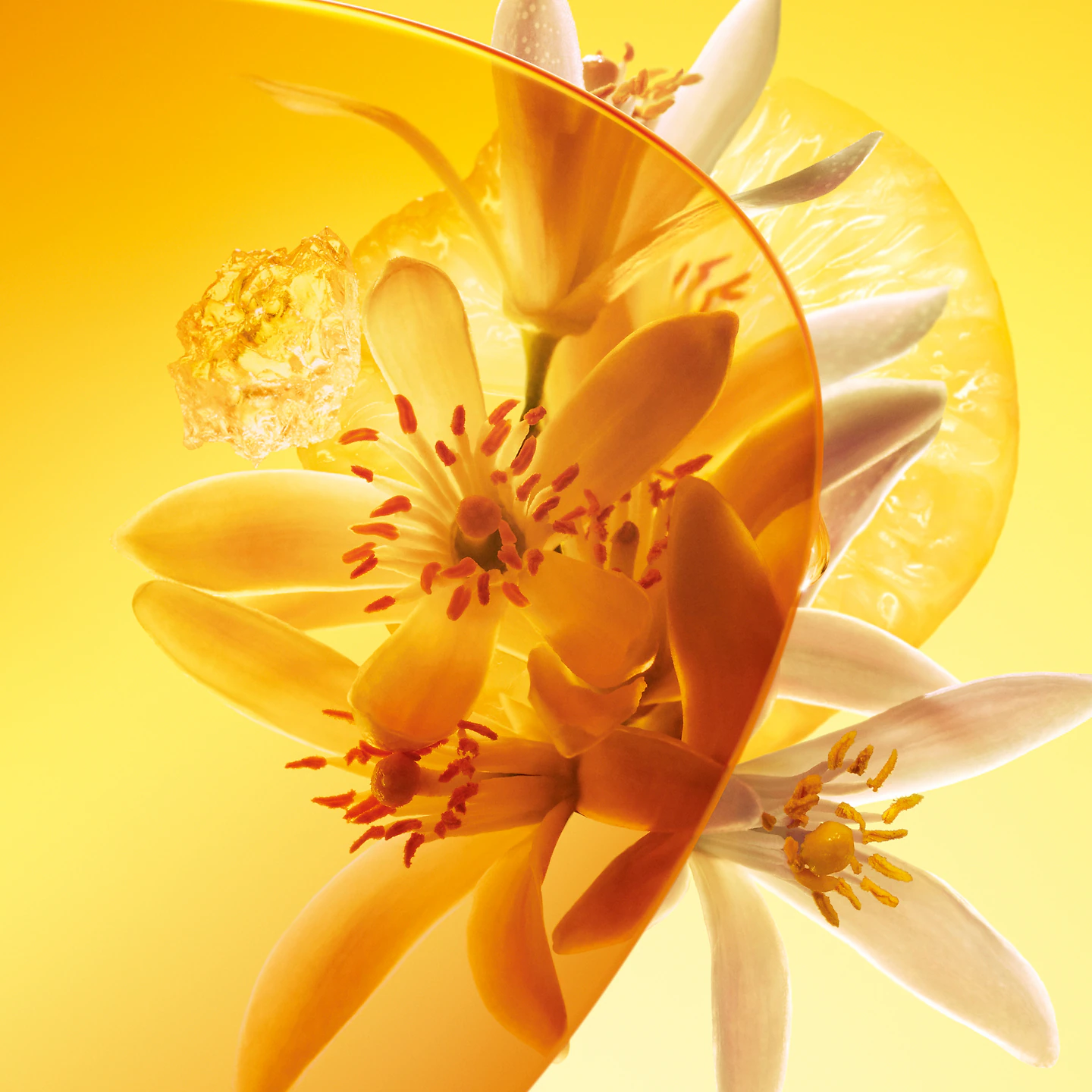 Louis Vuitton Sun Song 3