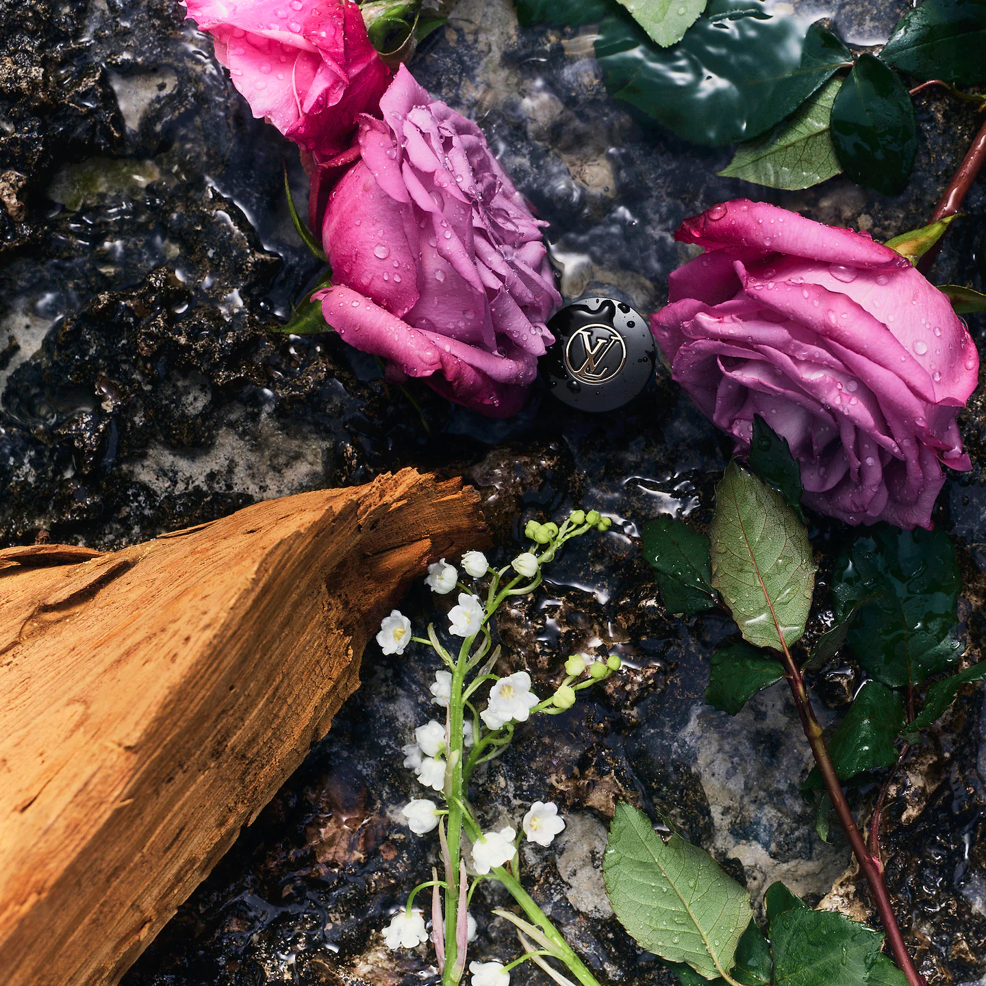 Louis Vuitton eLVes 4