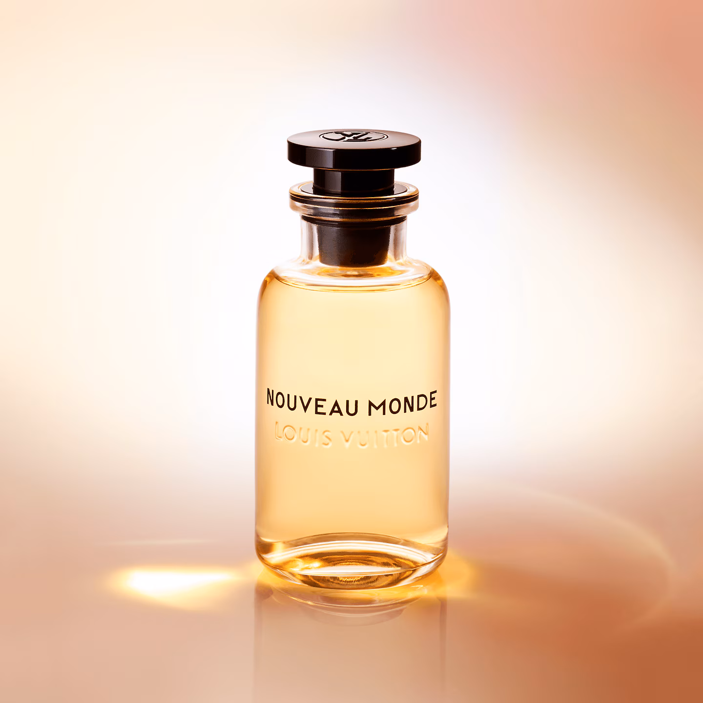 Louis Vuitton Nouveau Monde 3