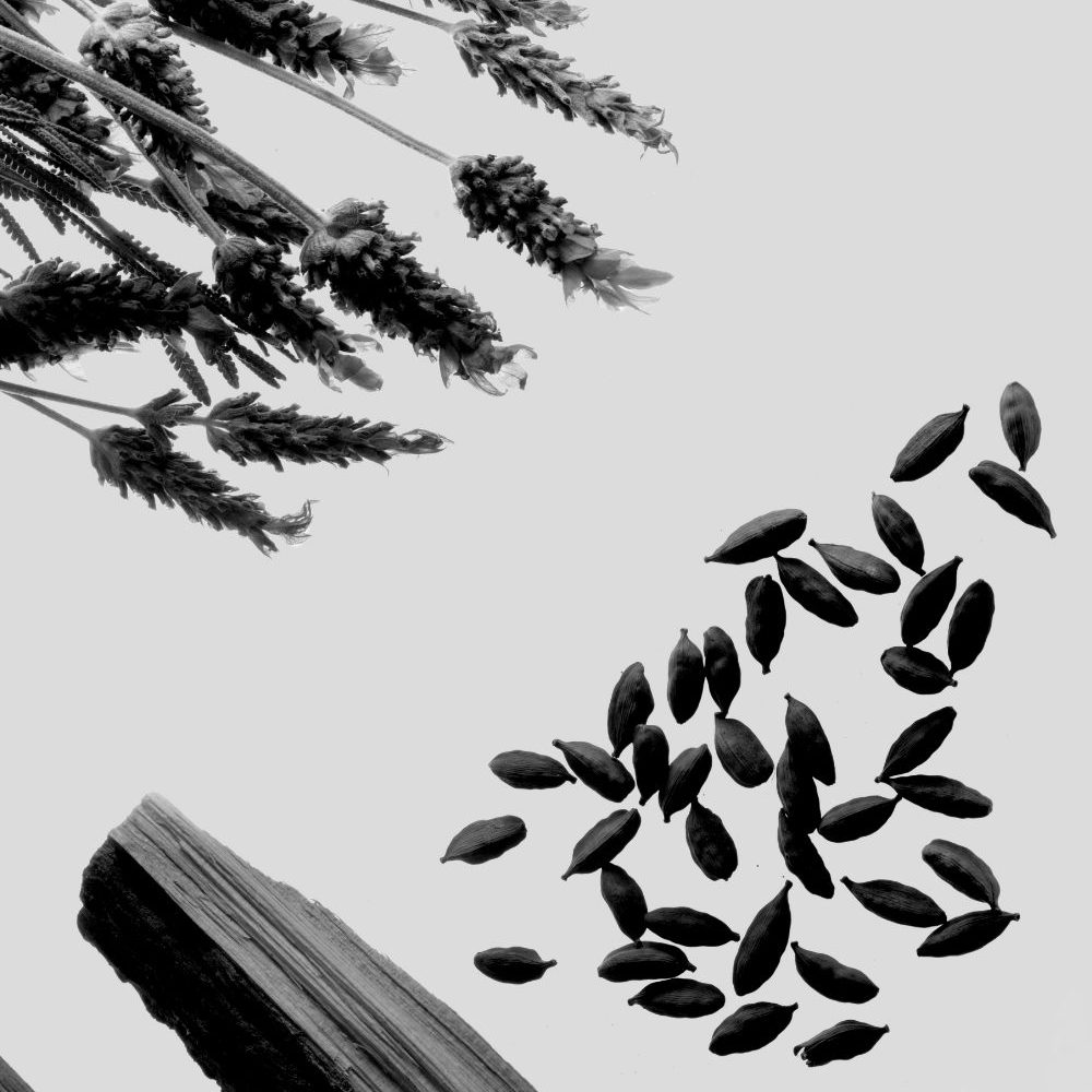 Genyum Tattoo Artist 3