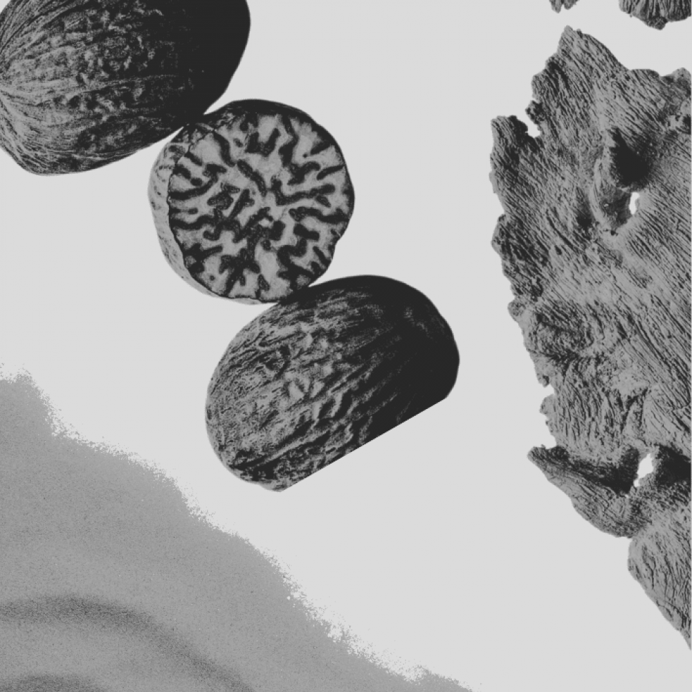 Genyum Photographer 3