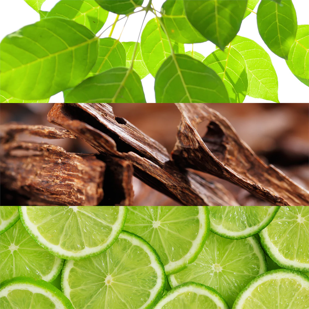 Lacoste Fragrances Lacoste Live 3