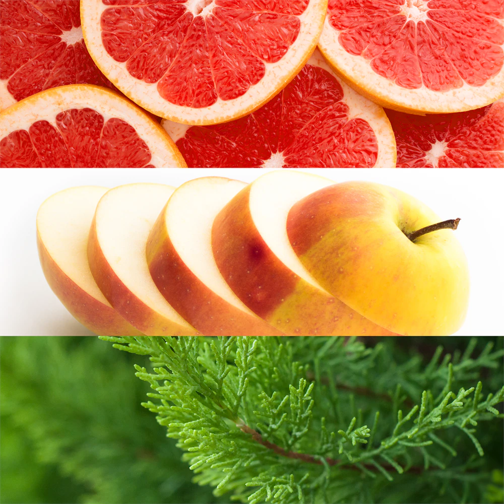 Lacoste Fragrances Eau de Lacoste L.12.12 Yellow (Jaune) 3