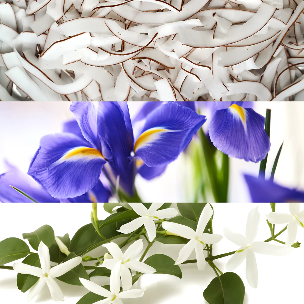 Lacoste Fragrances Eau de Lacoste L.12.12 Pour Elle Natural 3