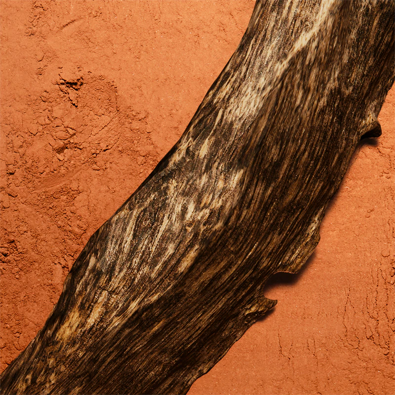 Lacoste Fragrances L.12.12 Eau de Parfum Blanc Edition Limitee Roland Garros 4