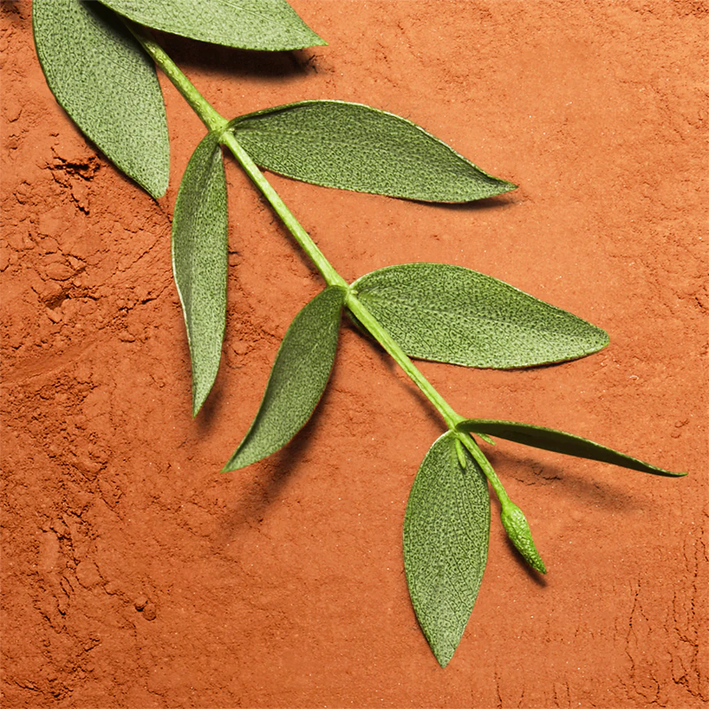 Lacoste Fragrances L.12.12 Eau de Parfum Blanc Edition Limitee Roland Garros 5