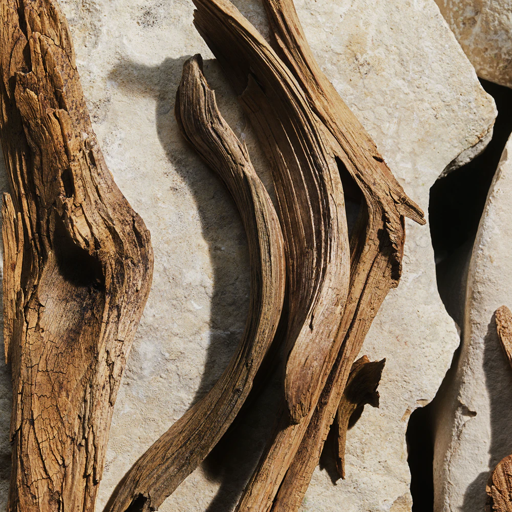 Dolce&Gabbana Light Blue 6