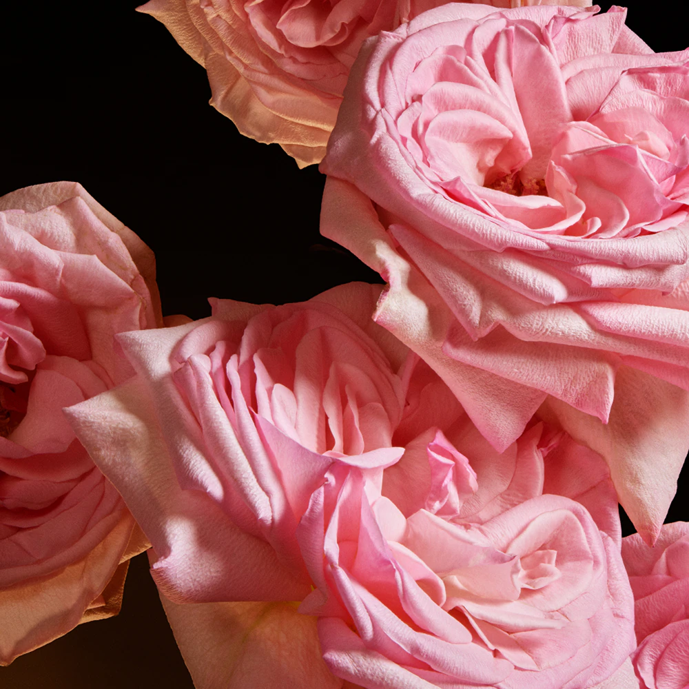 Dolce&Gabbana The One 5