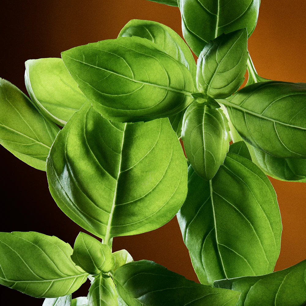 Dolce&Gabbana The One for Men 4