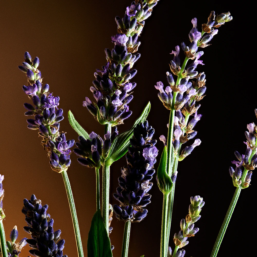 Dolce&Gabbana The One for Men 5