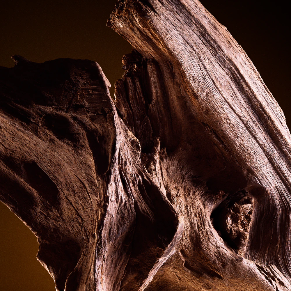 Dolce&Gabbana The One for Men 6