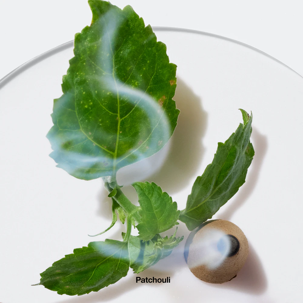 Clinique Aromatics Elixir 3