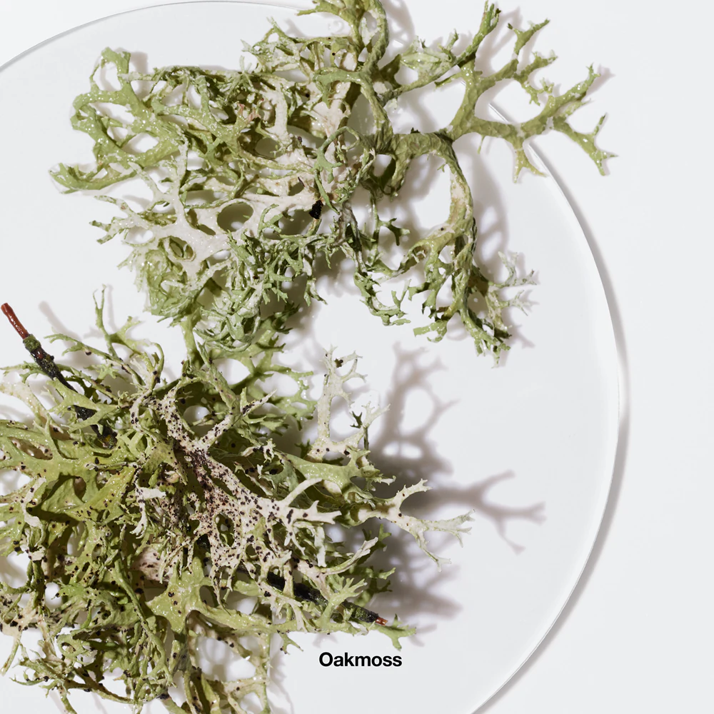 Clinique Aromatics Elixir 6