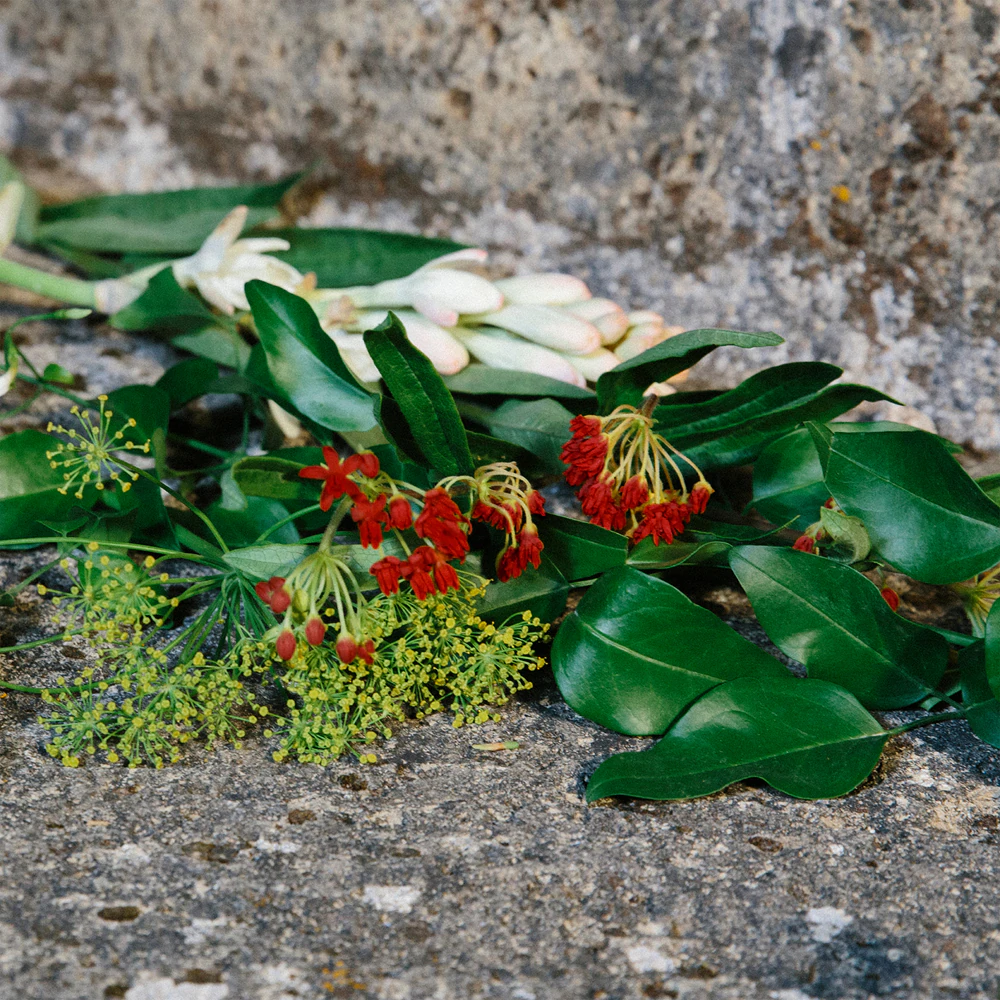 Gucci Gucci Bloom Acqua di Fiori 4