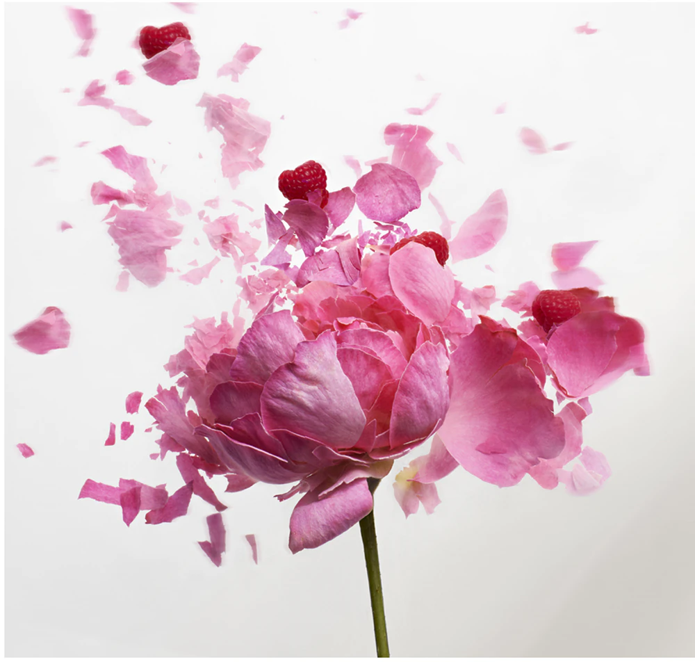 Nina Ricci Rose Extase 4