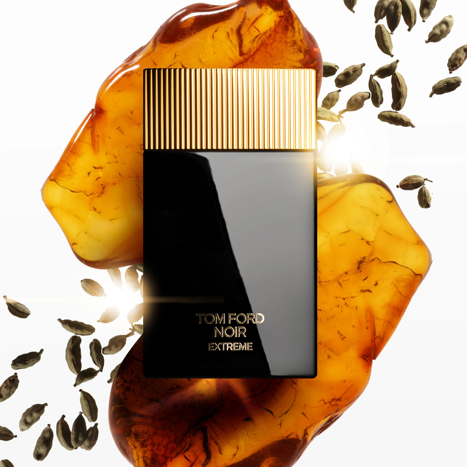 Tom Ford Noir Extreme 5
