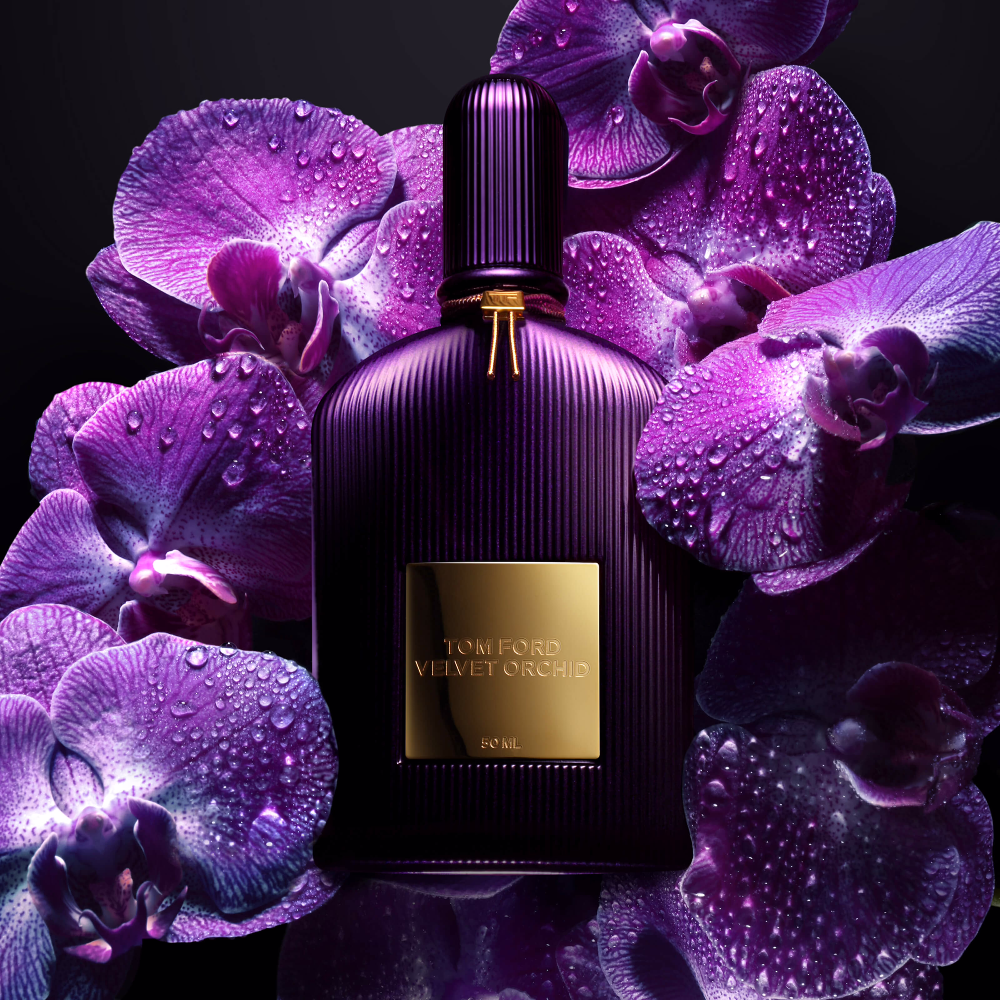 Tom Ford Velvet Orchid 5