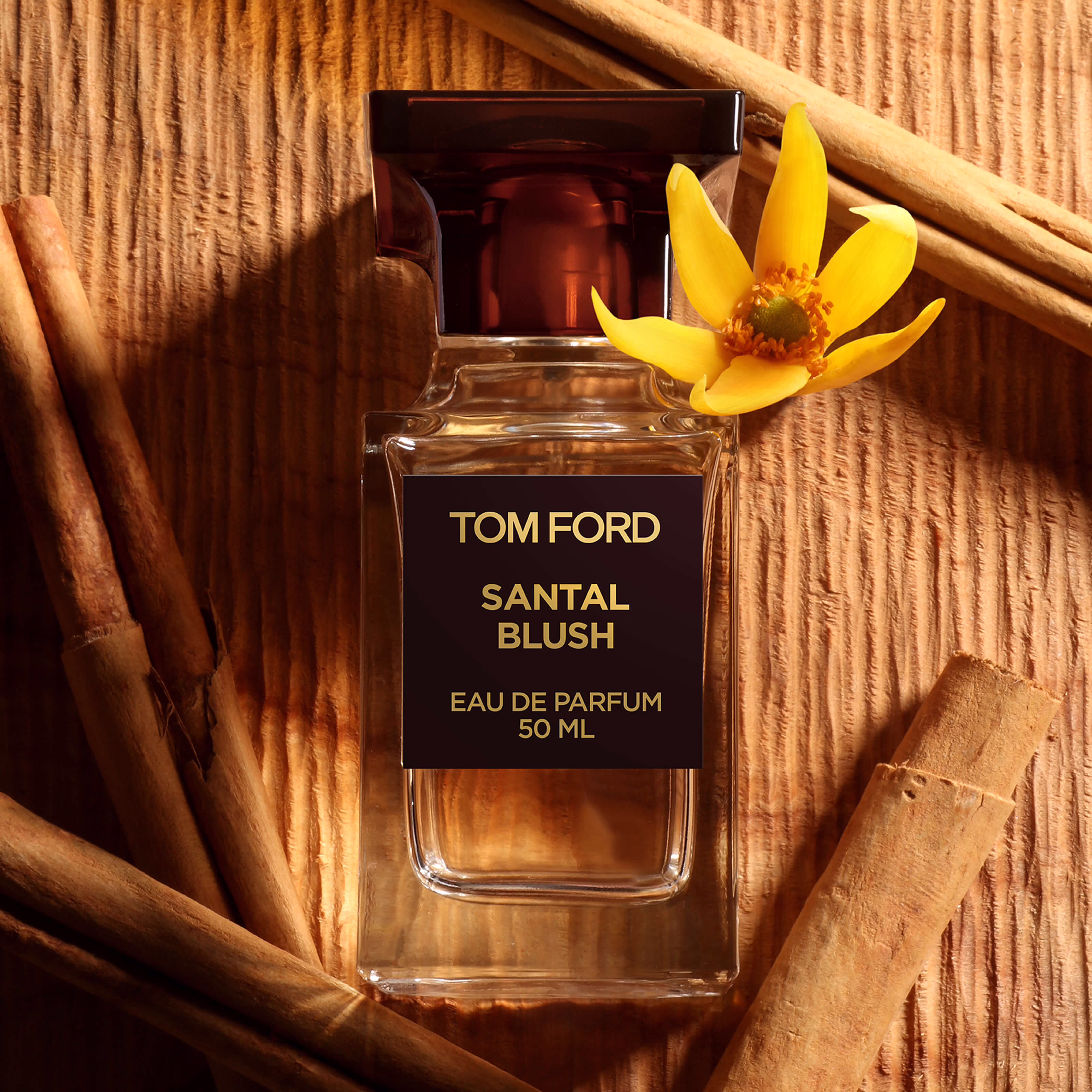 Tom Ford Santal Blush 3