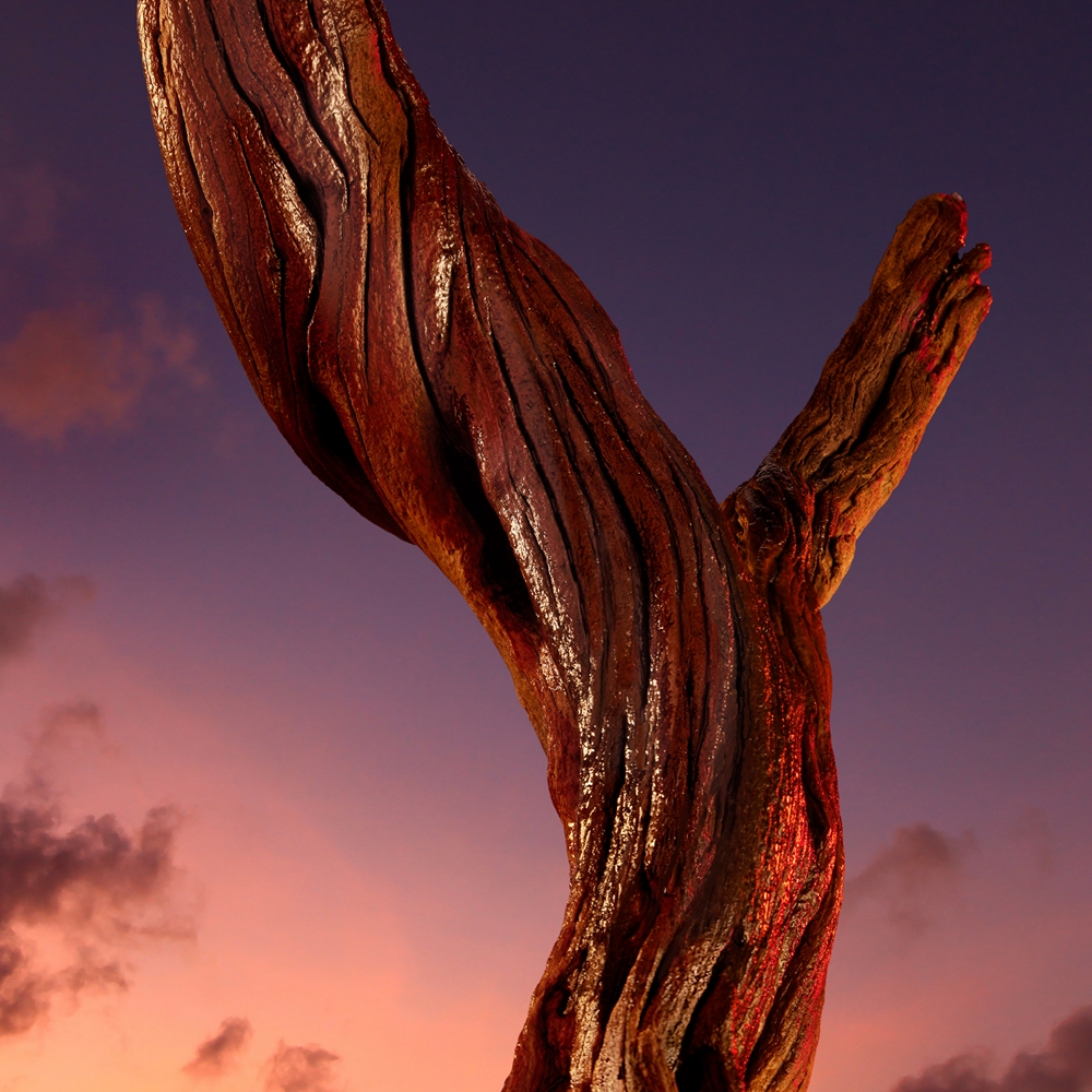 Azzaro The Most Wanted Parfum 4