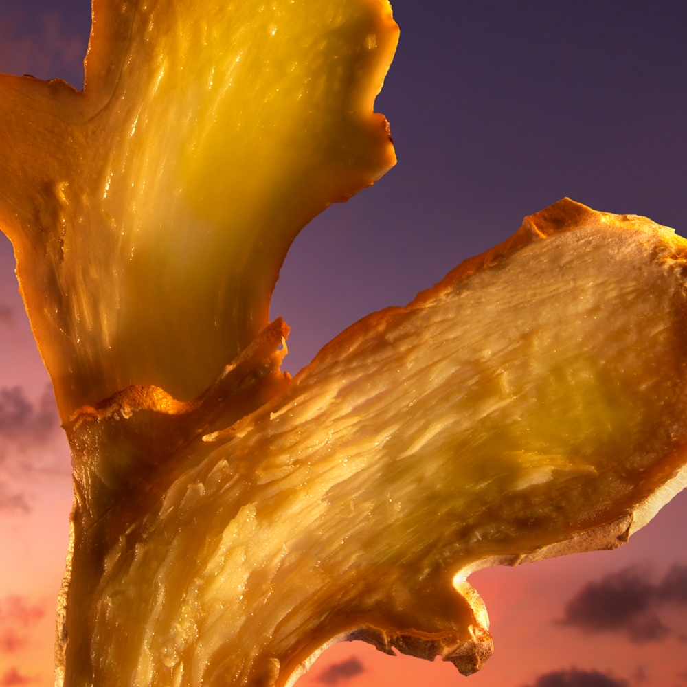 Azzaro The Most Wanted Parfum 5