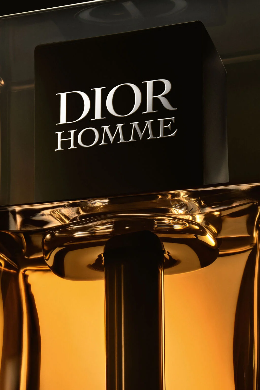 Christian Dior Dior Homme Intense 2011 for Man 2011 10
