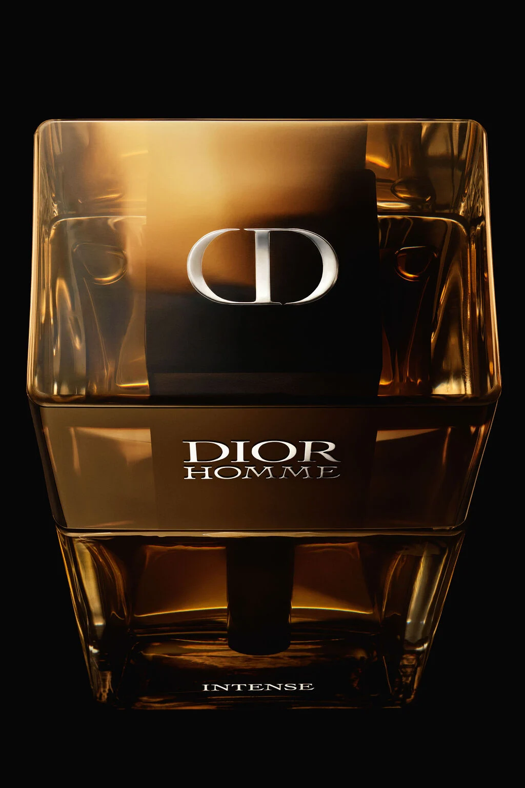 Christian Dior Dior Homme Intense 2011 for Man 2011 11