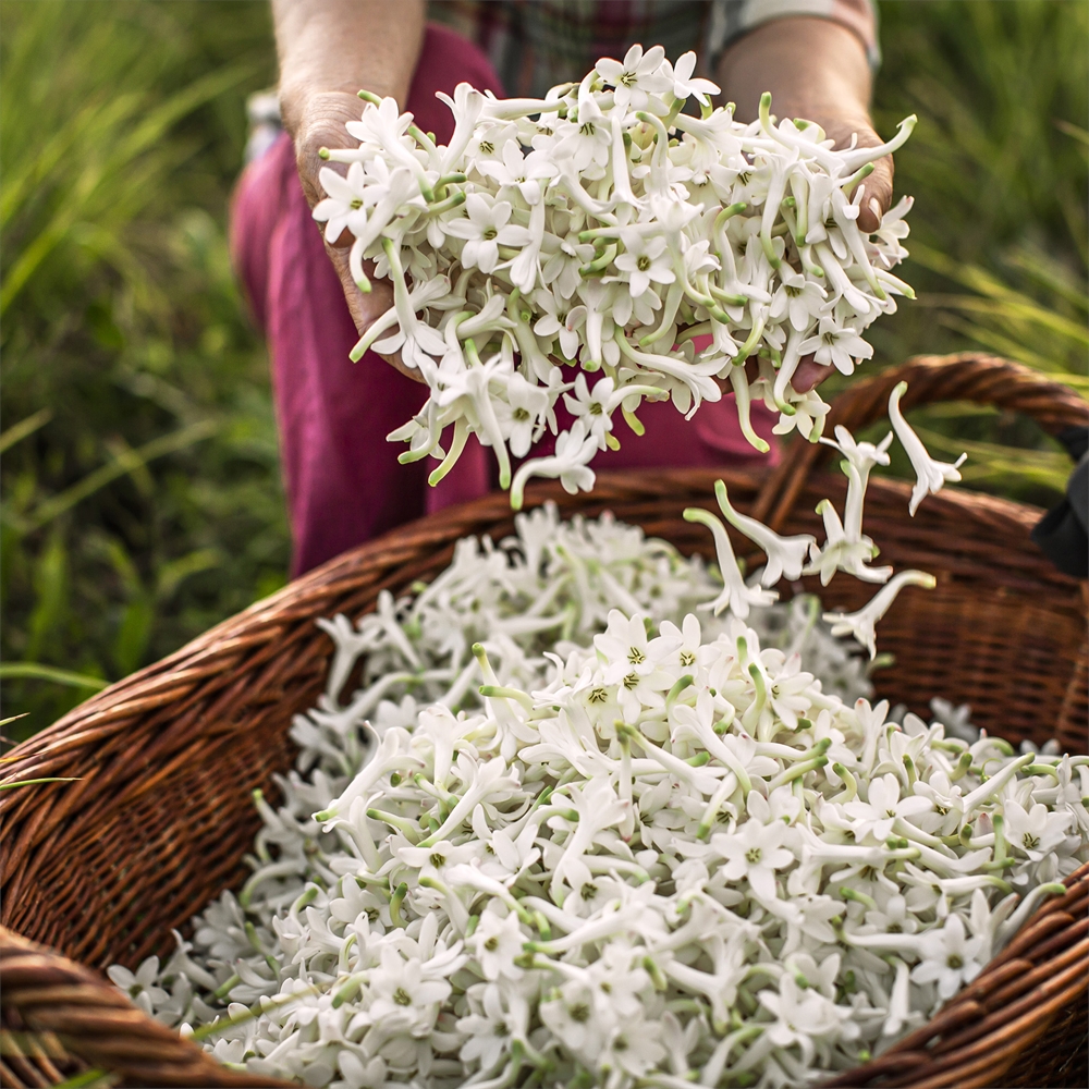 Christian Dior J'Adore Infinissime 5