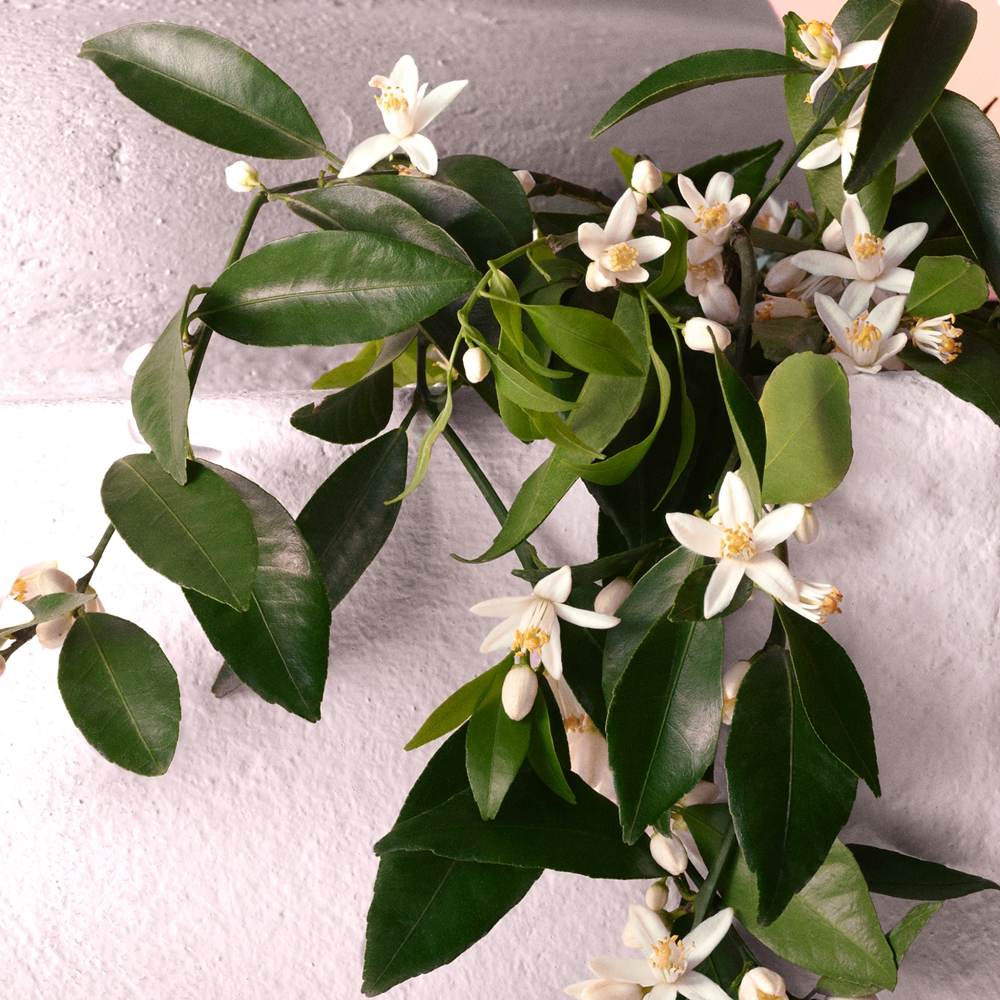 Dolce&Gabbana Devotion Intense 5