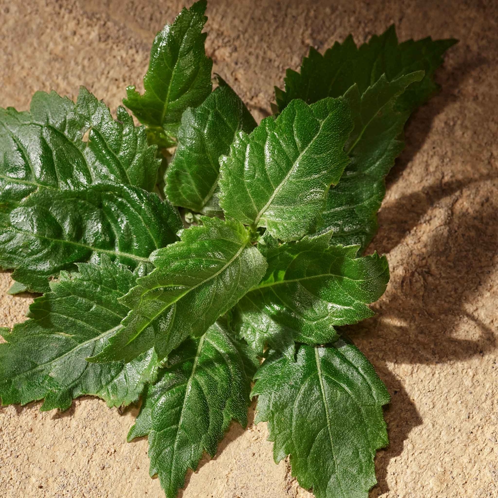 Dolce&Gabbana Devotion Pour Homme 6