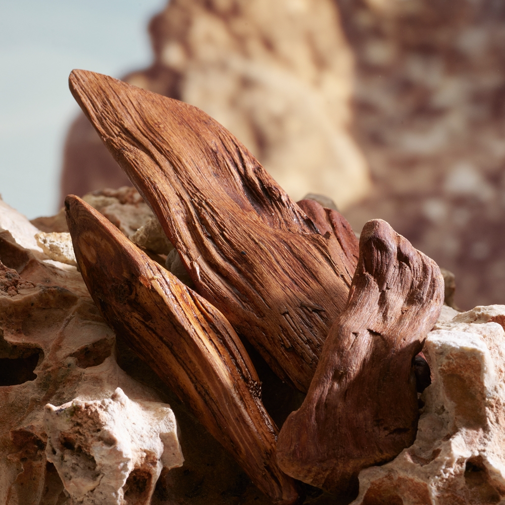 Dolce&Gabbana K by Dolce & Gabbana Parfum 6