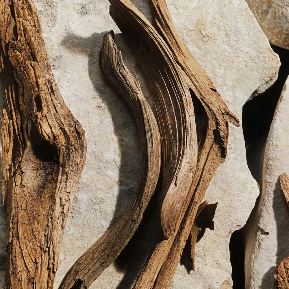 Dolce&Gabbana Light Blue Eau de Toilette 6